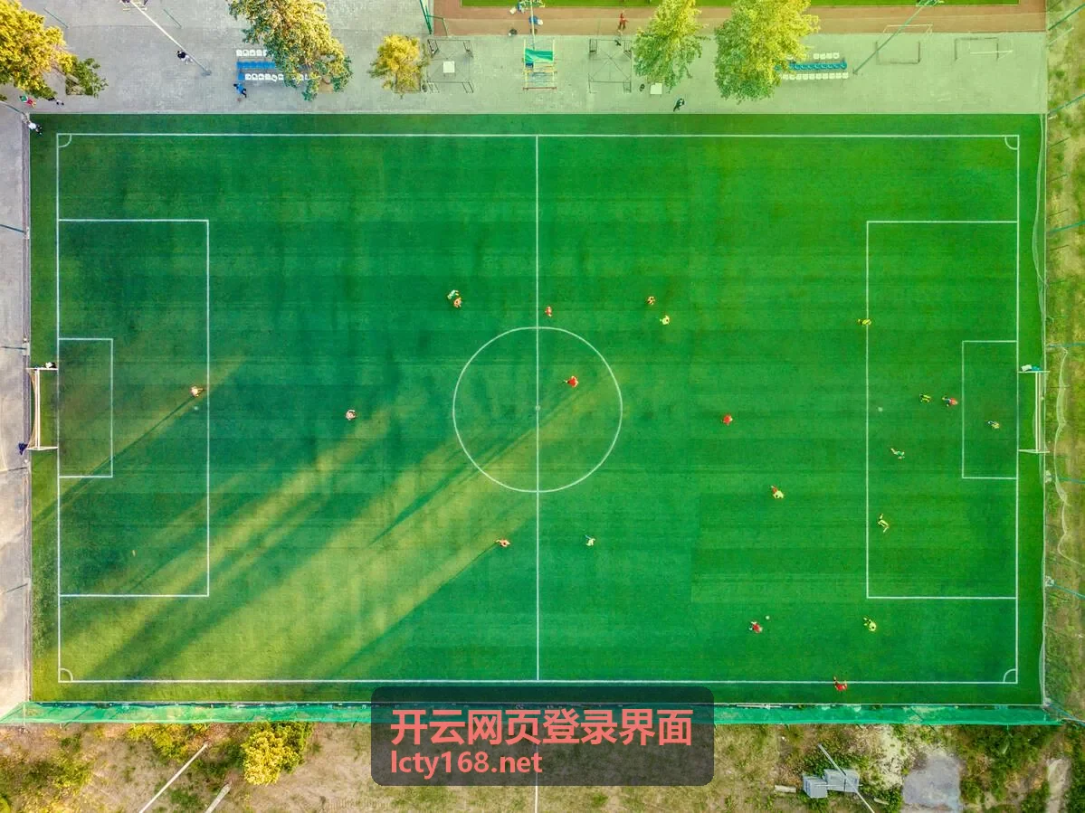 开云网页登录界面移动端小窗播放与后台播放功能