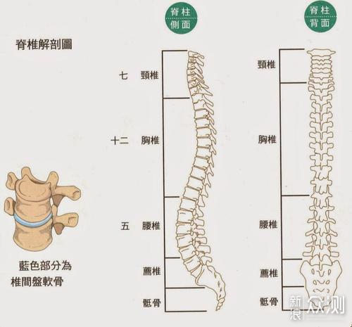 从电竞椅到电竞人体工学椅，告诉你提升在哪里_新浪众测