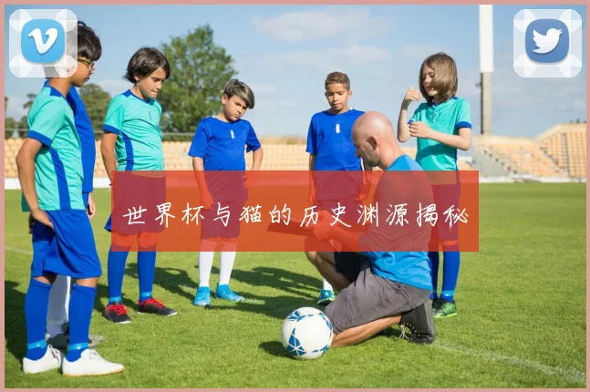 世界杯与猫的历史渊源揭秘