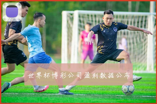 世界杯博彩公司盈利数据公布
