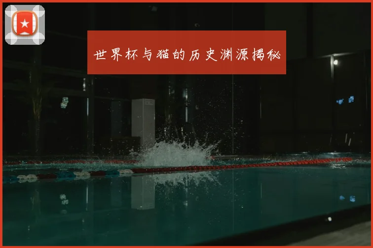 世界杯与猫的历史渊源揭秘