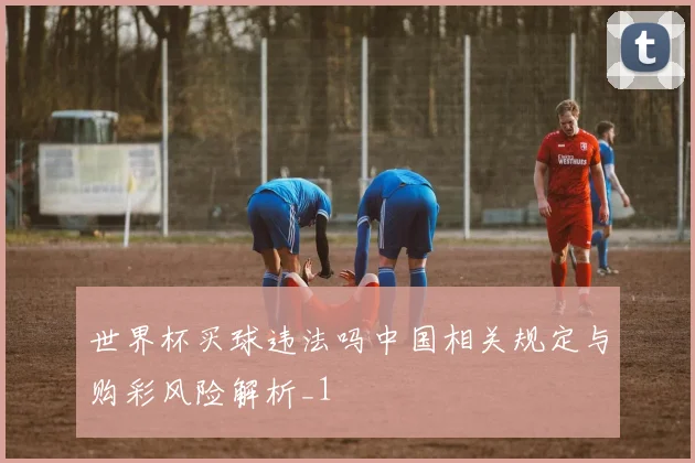 世界杯买球违法吗中国相关规定与购彩风险解析_1